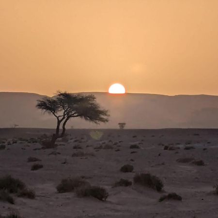 Mhamid Sahara Camp - Mhamid El Ghizlane Hotell M'Hamid Exteriör bild