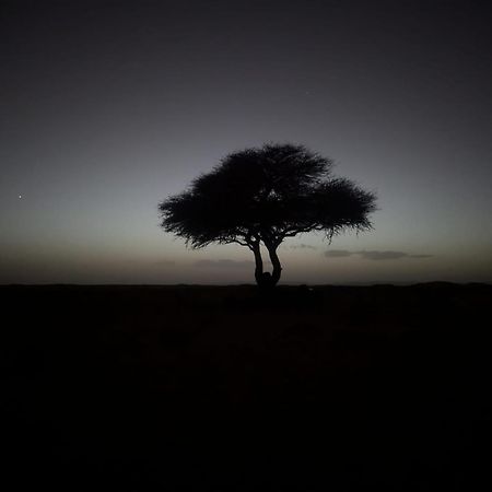 Mhamid Sahara Camp - Mhamid El Ghizlane Hotell M'Hamid Exteriör bild