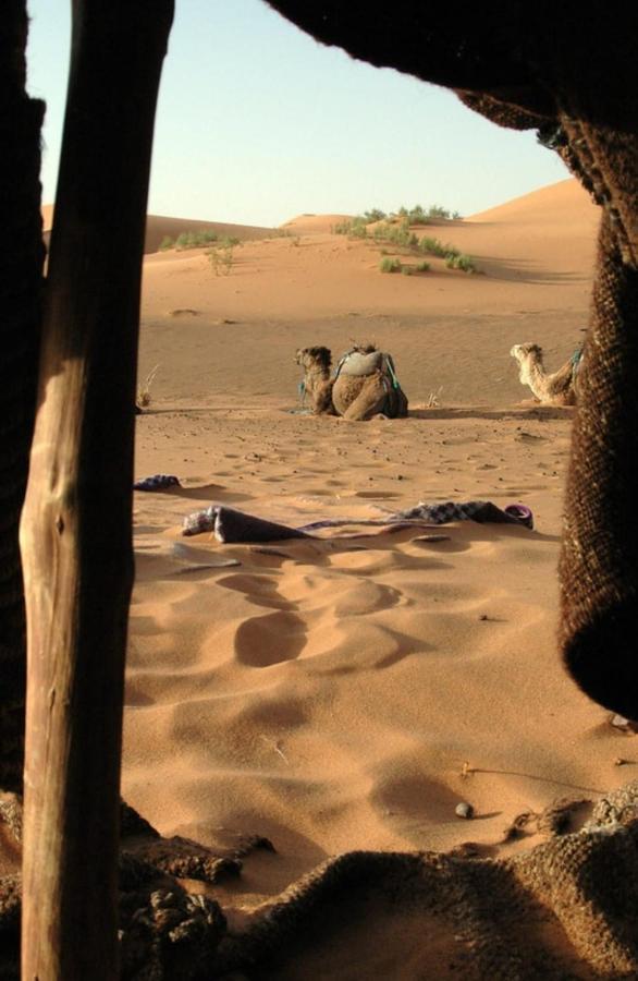 Mhamid Sahara Camp - Mhamid El Ghizlane Hotell M'Hamid Exteriör bild