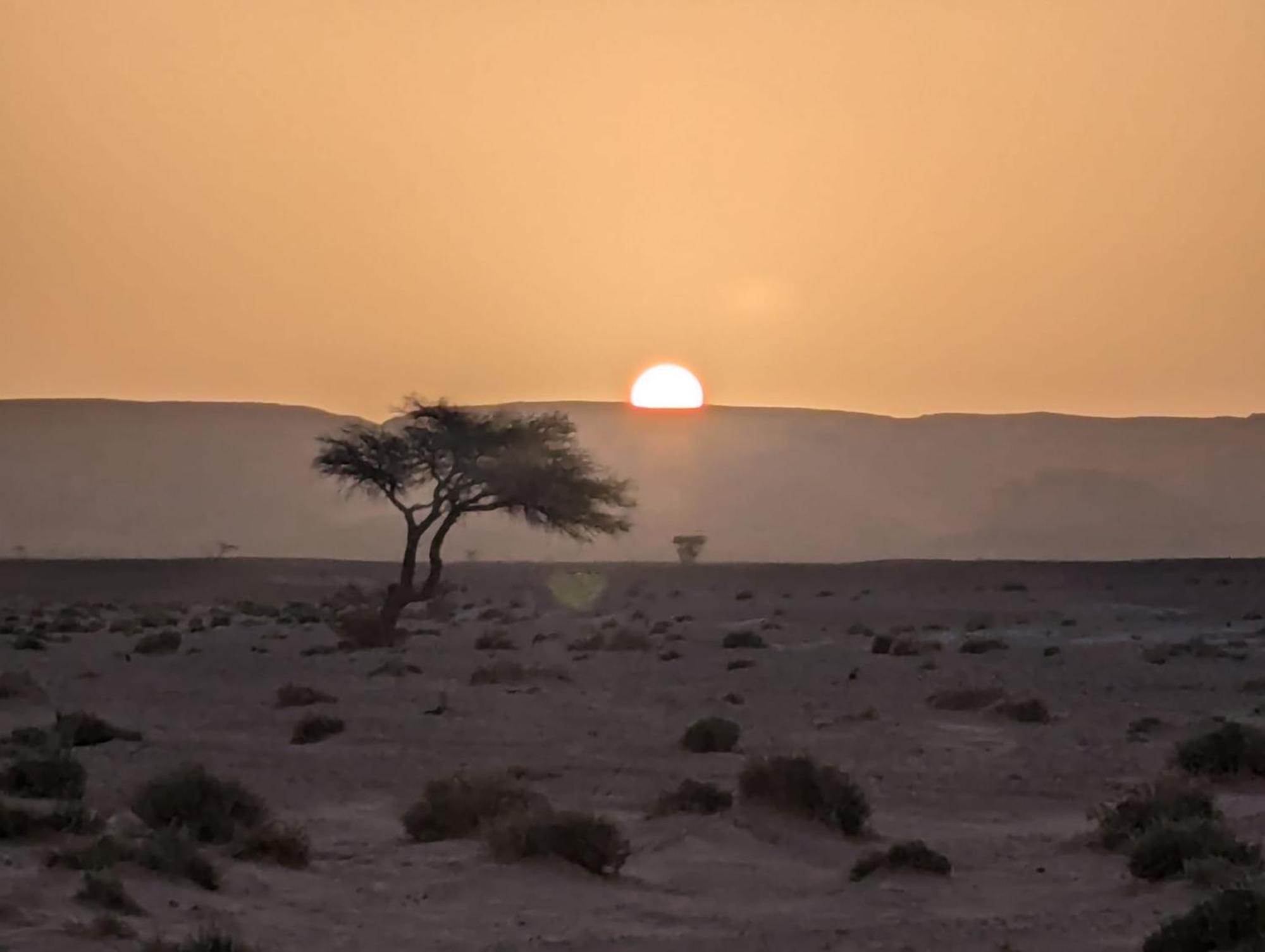 Mhamid Sahara Camp - Mhamid El Ghizlane Hotell M'Hamid Exteriör bild